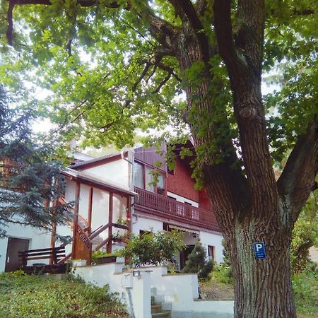 Pension Fischer Plauen Esterno foto