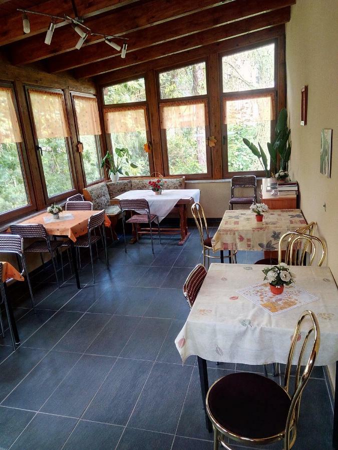 Pension Fischer Plauen Esterno foto
